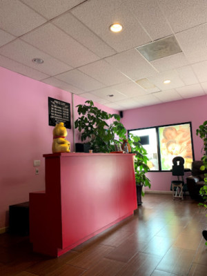 Oriental Massage Group